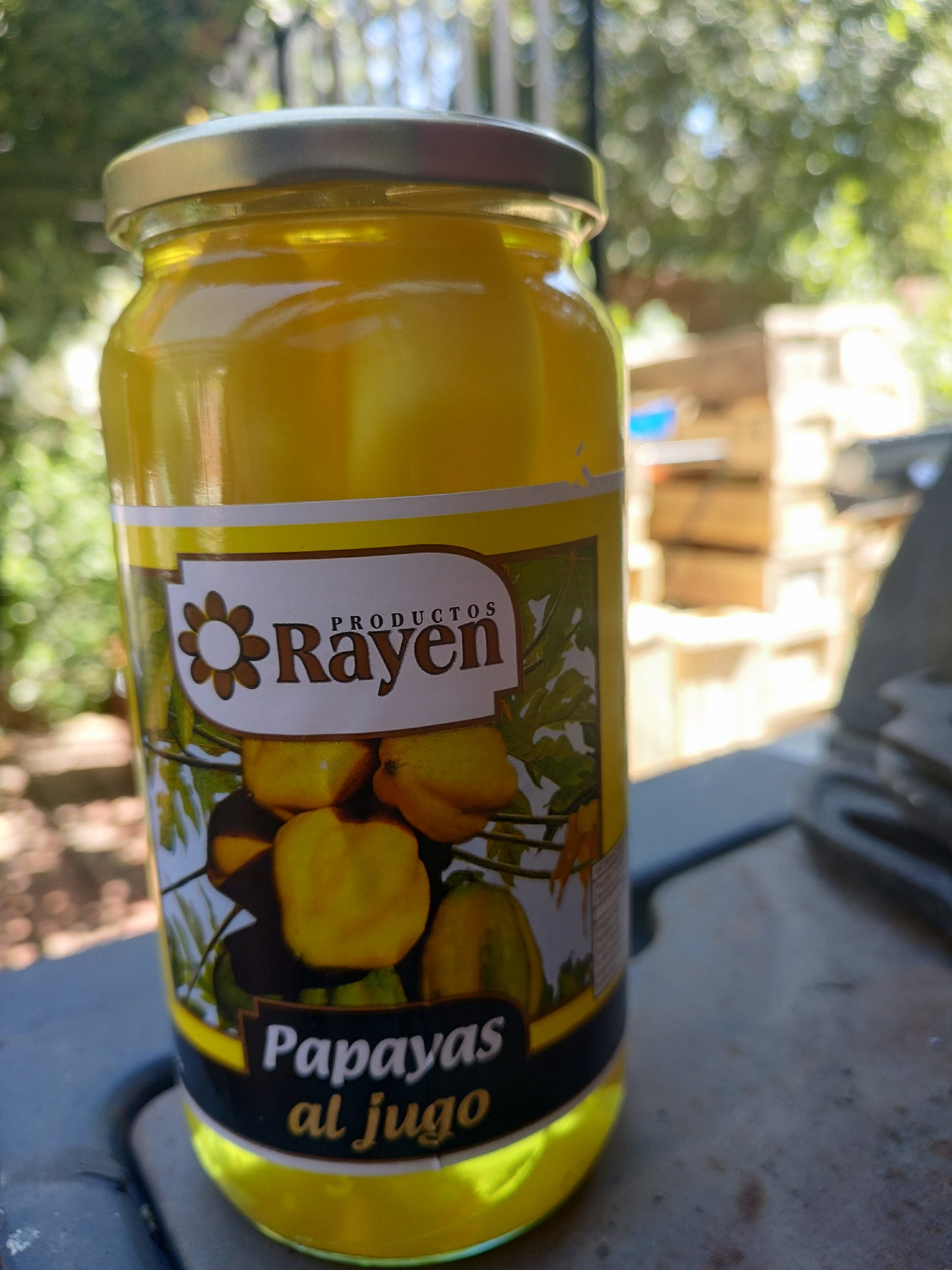 Papayas en conserva (kilo) losalamitos